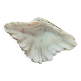 Empty pocket shell