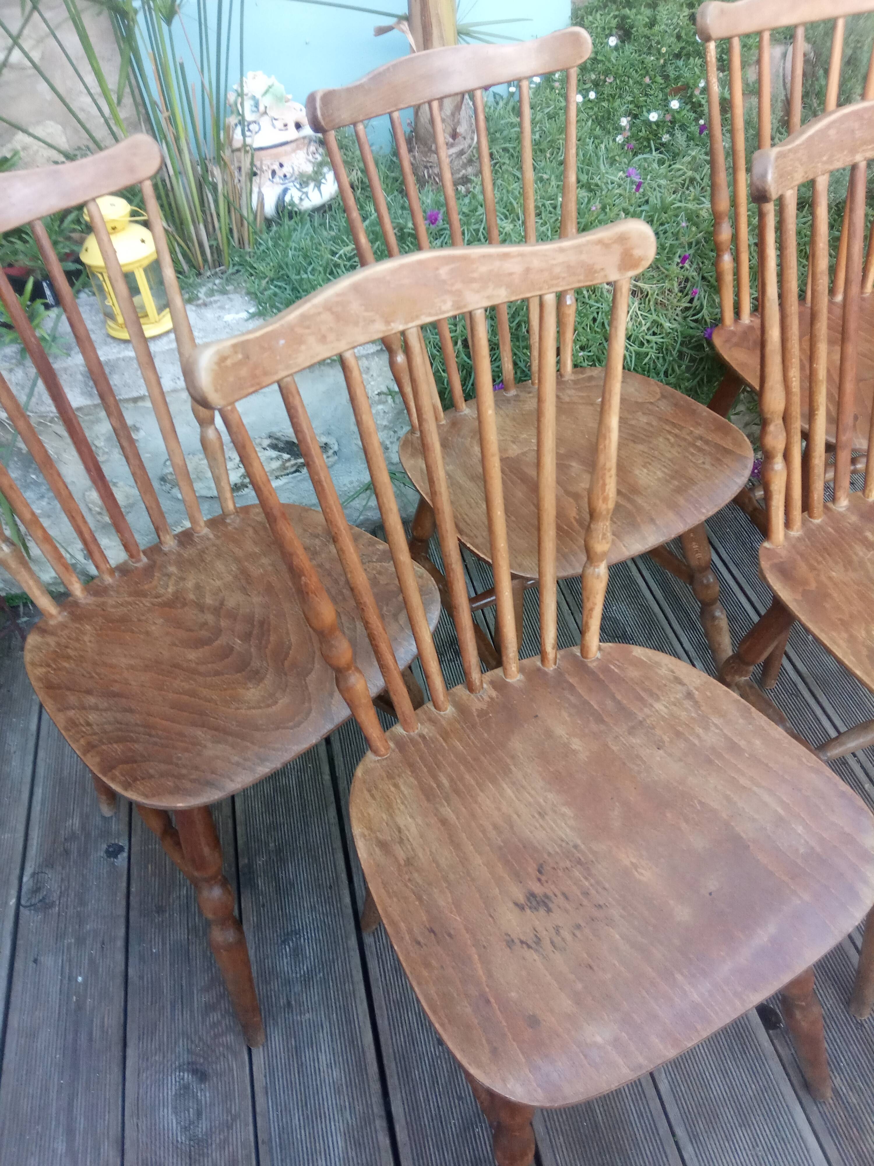 Set of 5 Tacoma chairs design Baumann