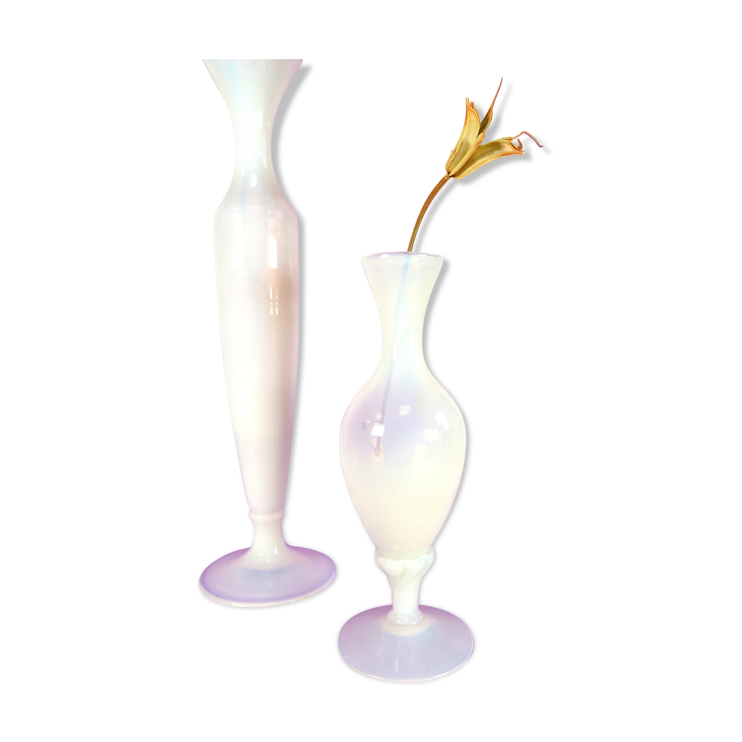 Soliflora in white opaline