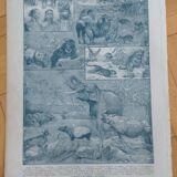 Larousse map of Asia