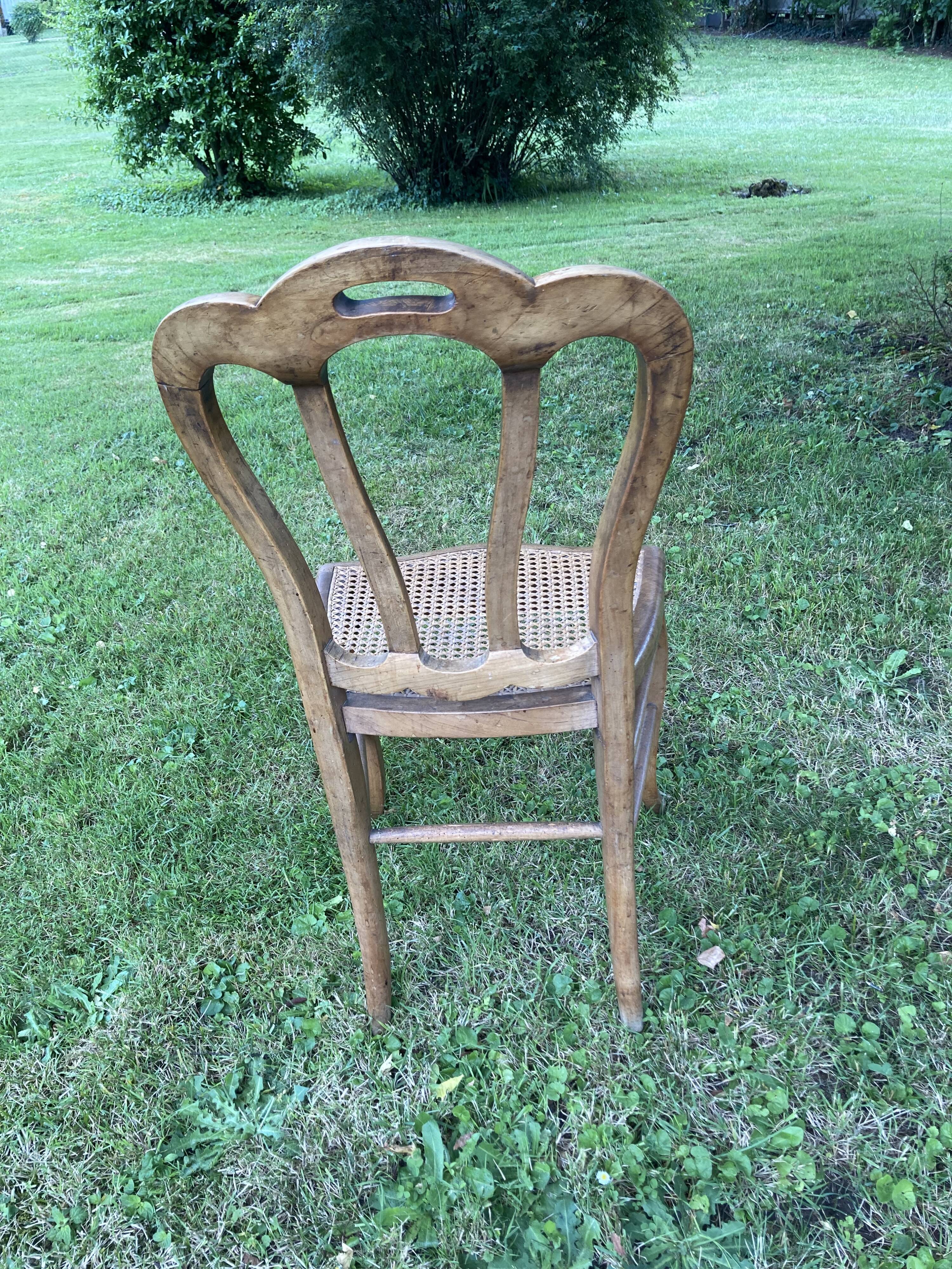 6 louis philippe cannate chairs