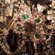 15-arm light-stamped chandelier