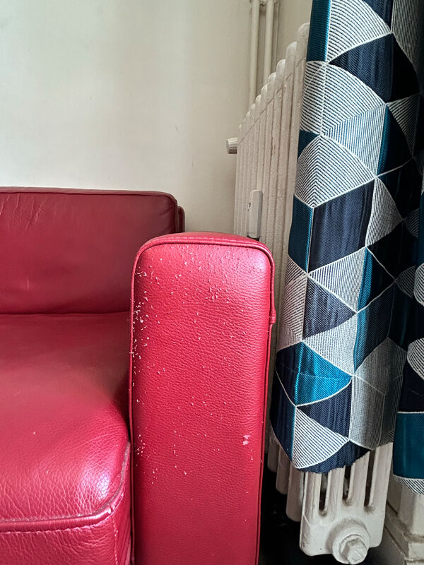 Canapé convertible en cuir véritable de vachette rouge