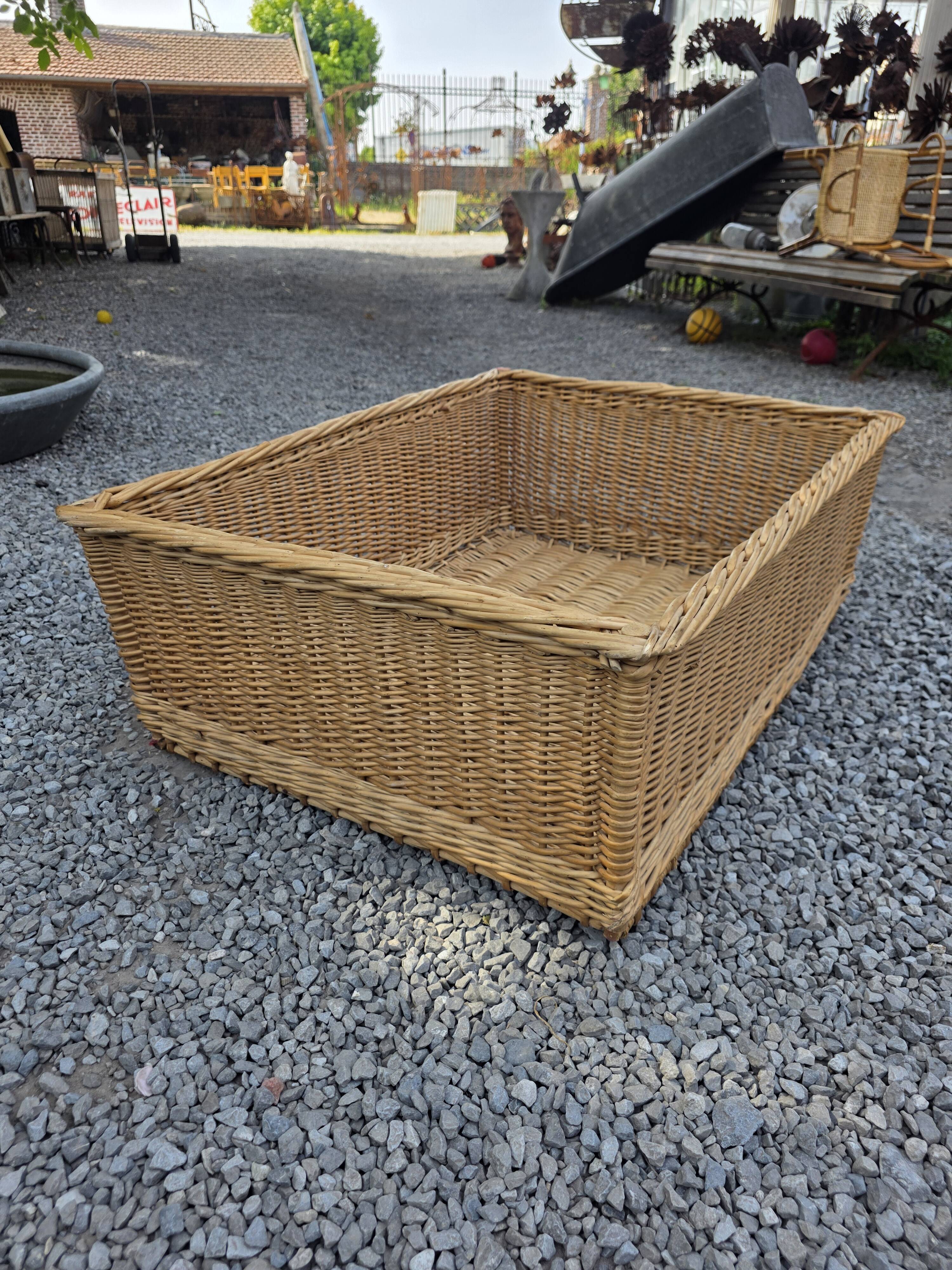 Panier en osier grand modèle