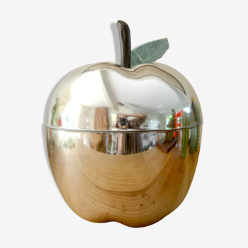 Pomme à glaçons en plastique argenté