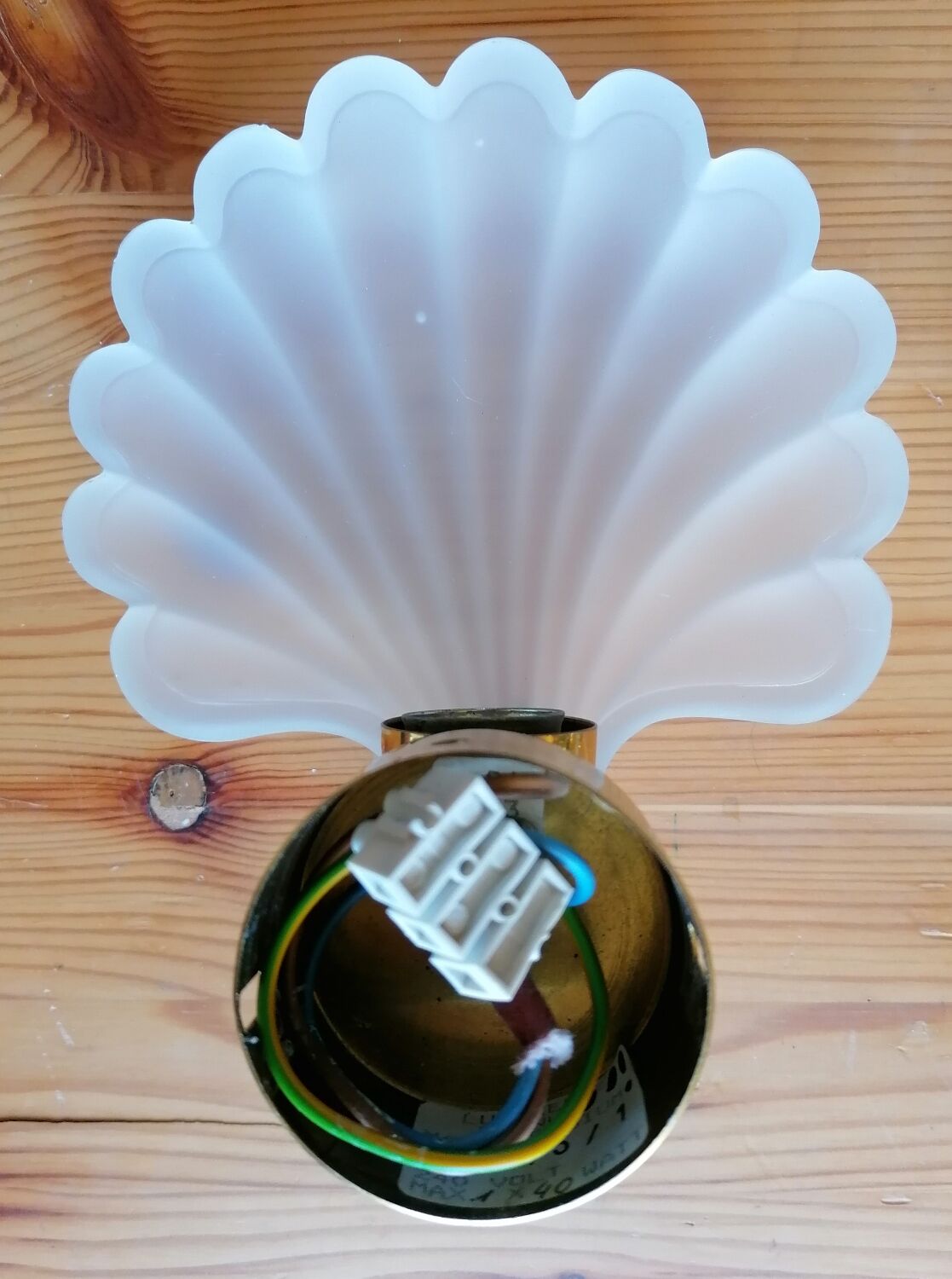 Pair of Deknudt shell wall lights