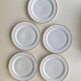 Limoges porcelain plates