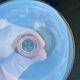 6 crystal champagne flutes from Saint-Louis and their box.