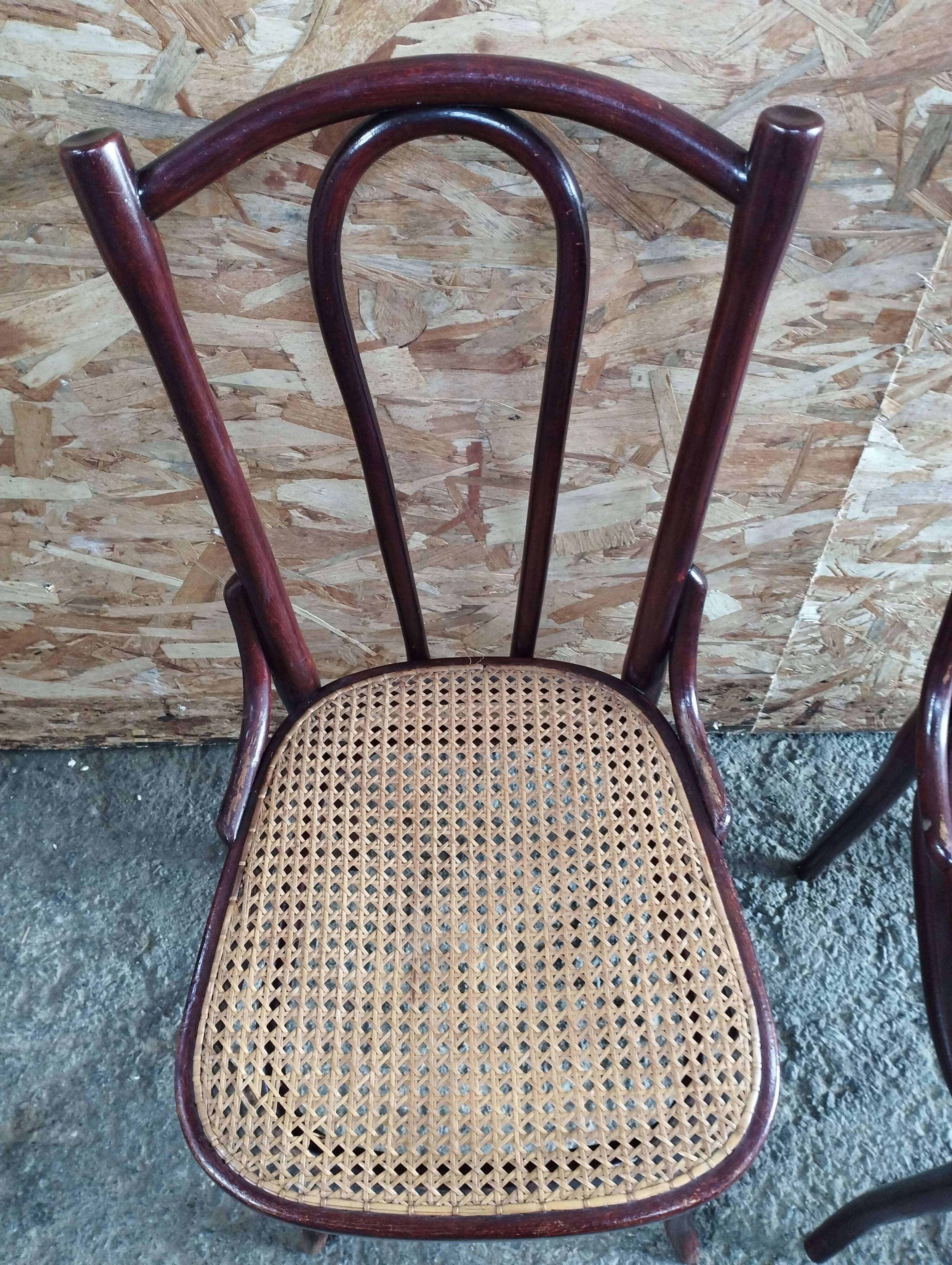 Set of Thonet chairs