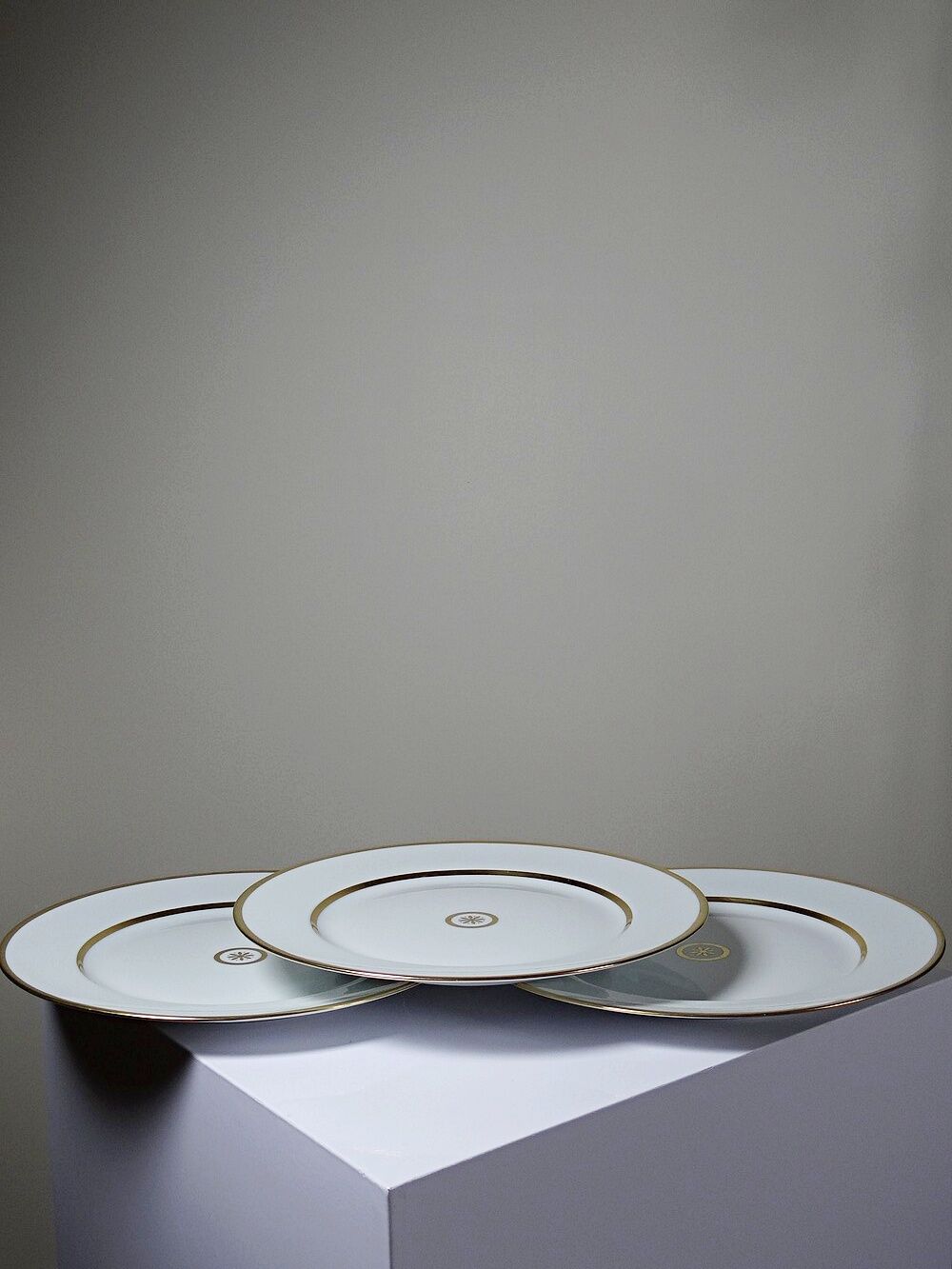 3 flat plates in porcelain Bernardaud Limoges model Sparte vintage