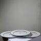 3 flat plates in porcelain Bernardaud Limoges model Sparte vintage