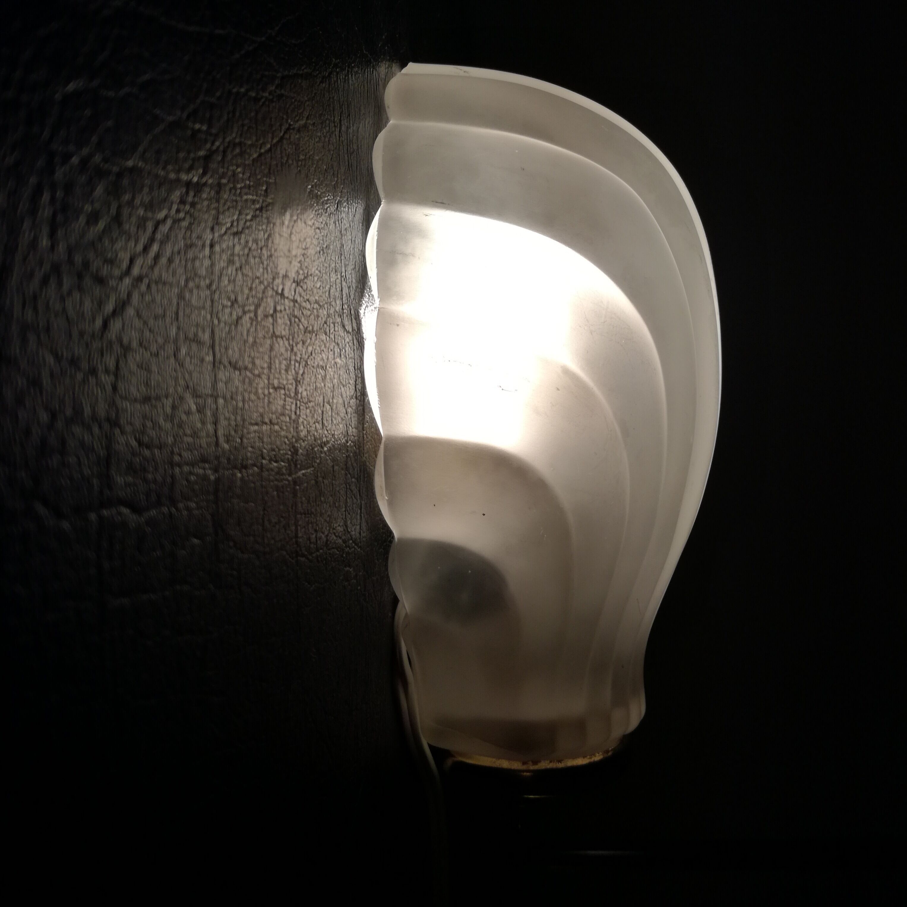 Glass shell sconce