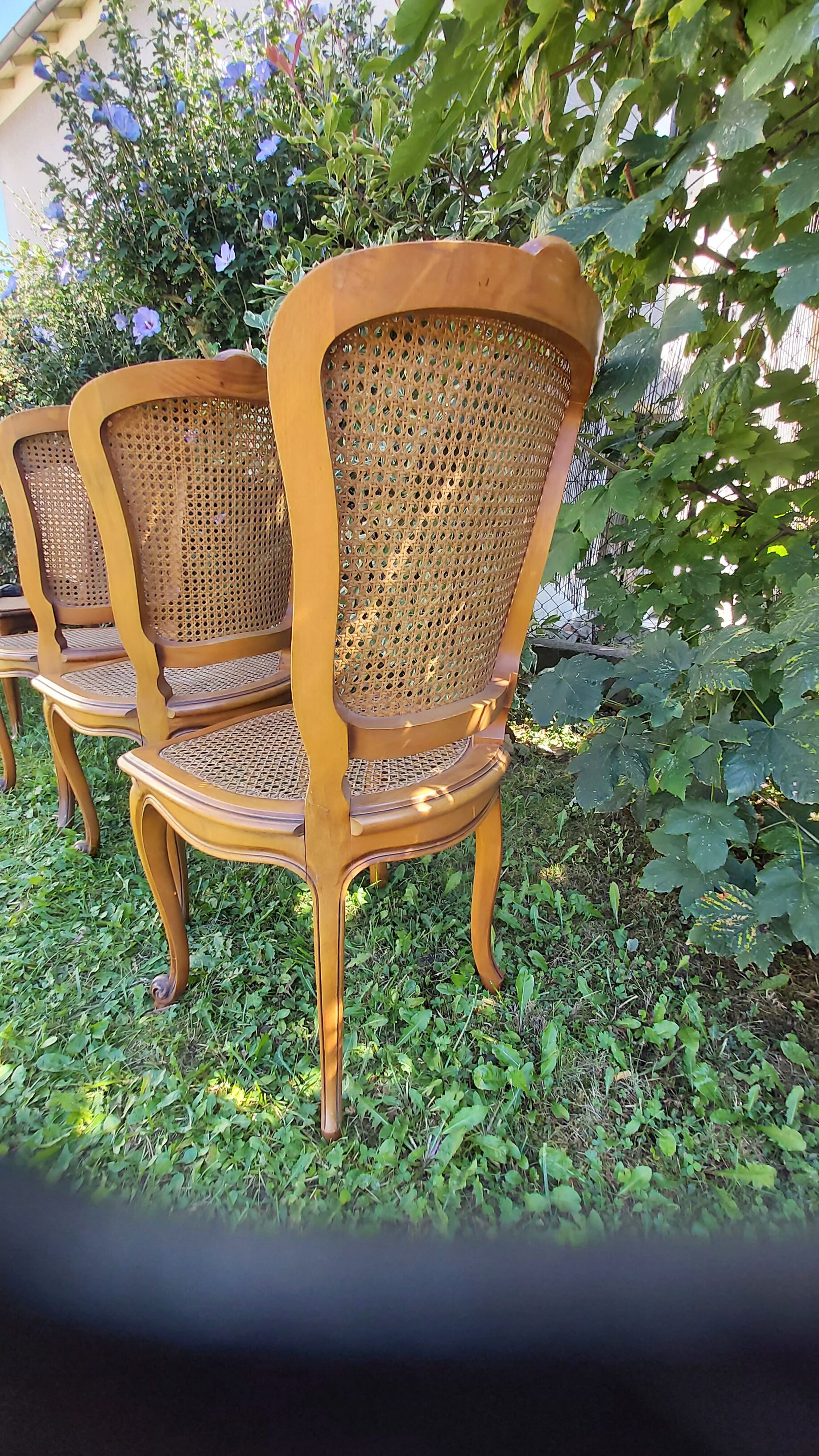 Set of three regency cane chairs