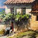 Huile sur toile  de Gustave Vidal