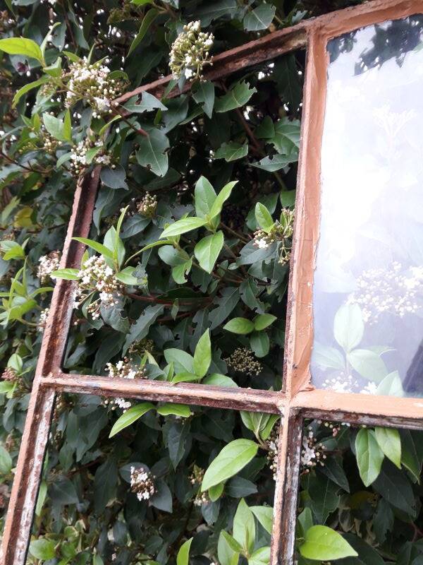 Industrial arched metal windows L73xH110 19th century glass roof