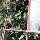 Industrial arched metal windows L73xH110 19th century glass roof