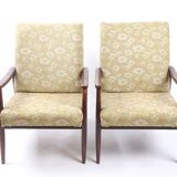 Flowers vintage 1970 Czech Republic s chairs
