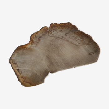 Vide poche ou plat en bois pétrifié - 30cm