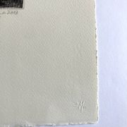 Nicole Bouharmont, tempête, 2013, pointe sèche originale signée