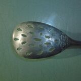 Sprinkling spoon