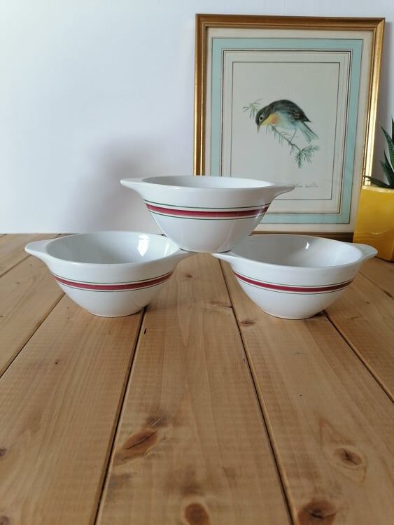 Breakfast bowls with handles