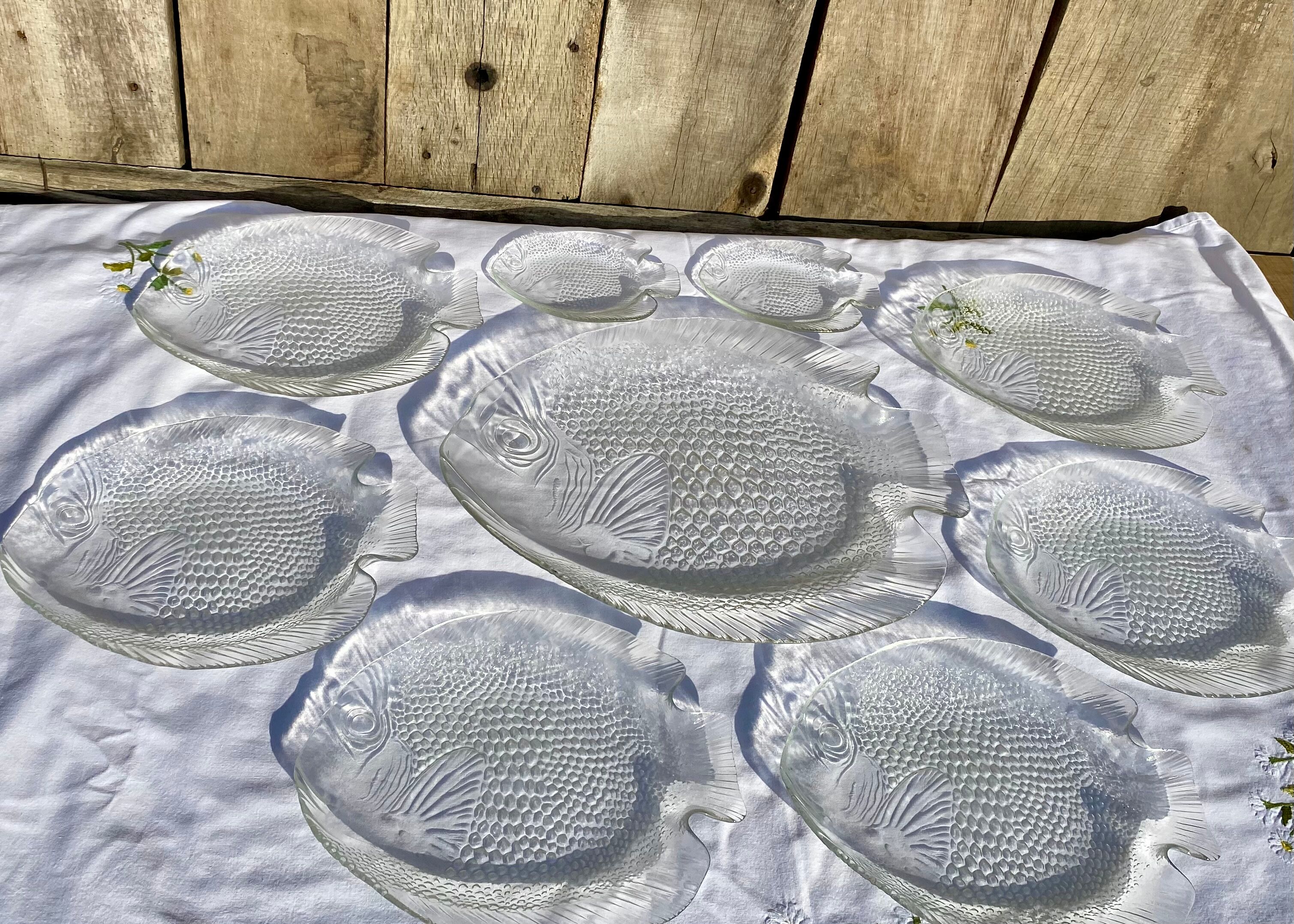 Service assiettes et plat à poisson transparents Arcoroc