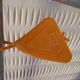 Vintage sunbathing chair