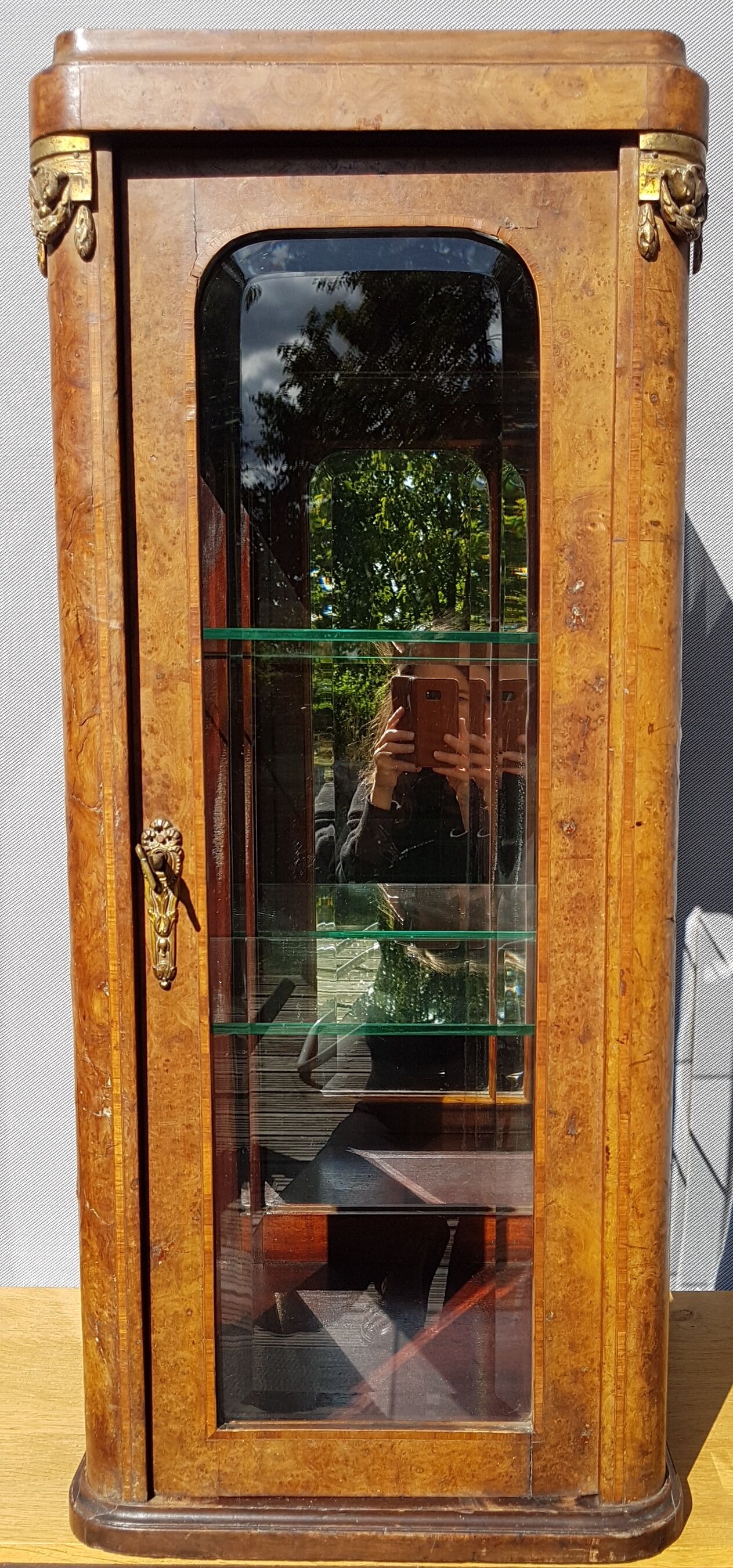 Curiosity cabinet showcase 1900