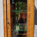 Curiosity cabinet showcase 1900