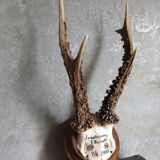 Vintage Scandinavian Hunting Trophy