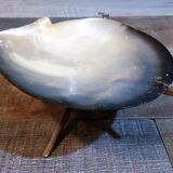 Empty mother-of-pearl pocket nineteenth century
