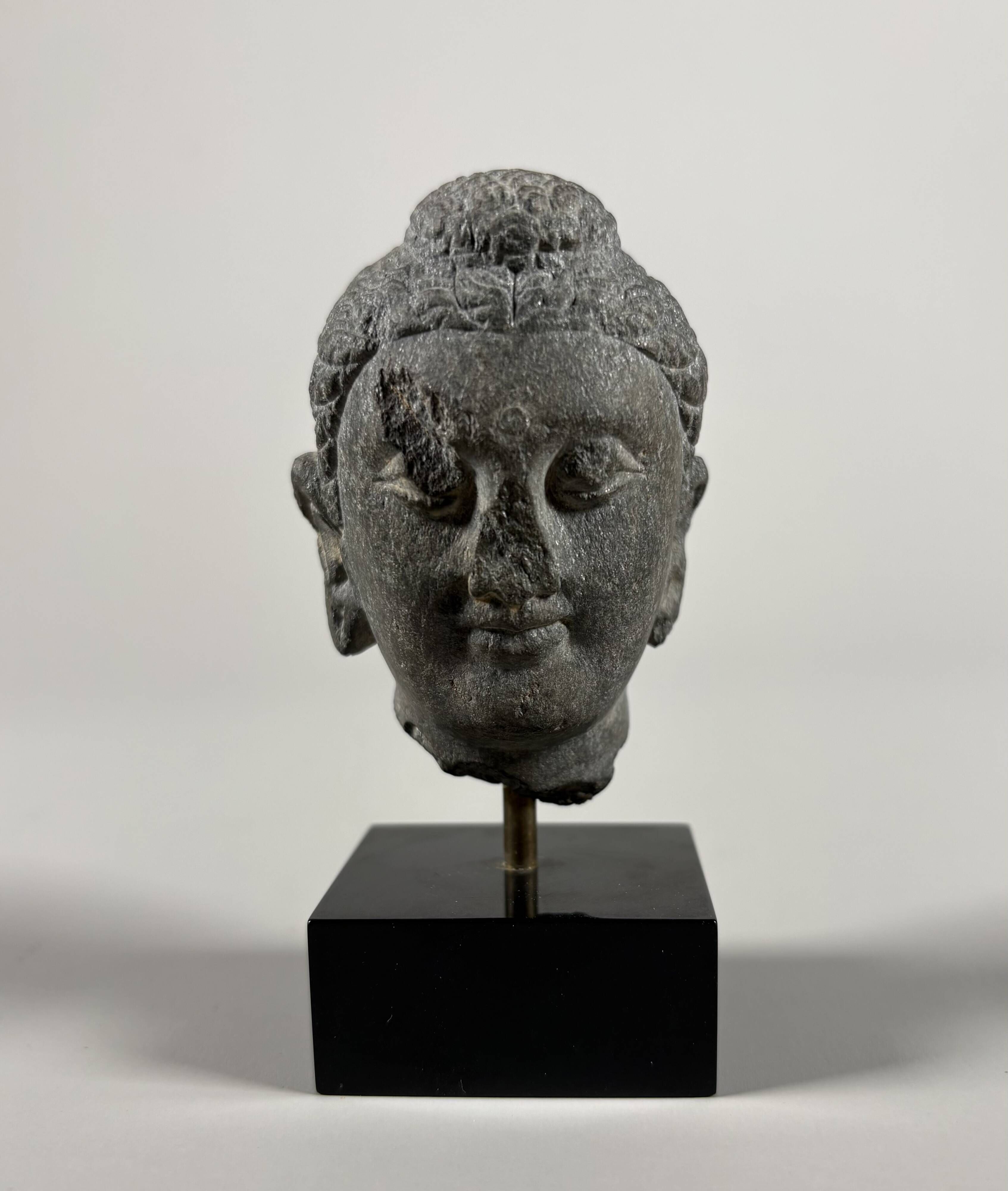 Sculpture of a Buddha head in grey schist from Gandhara, ancient Greece.