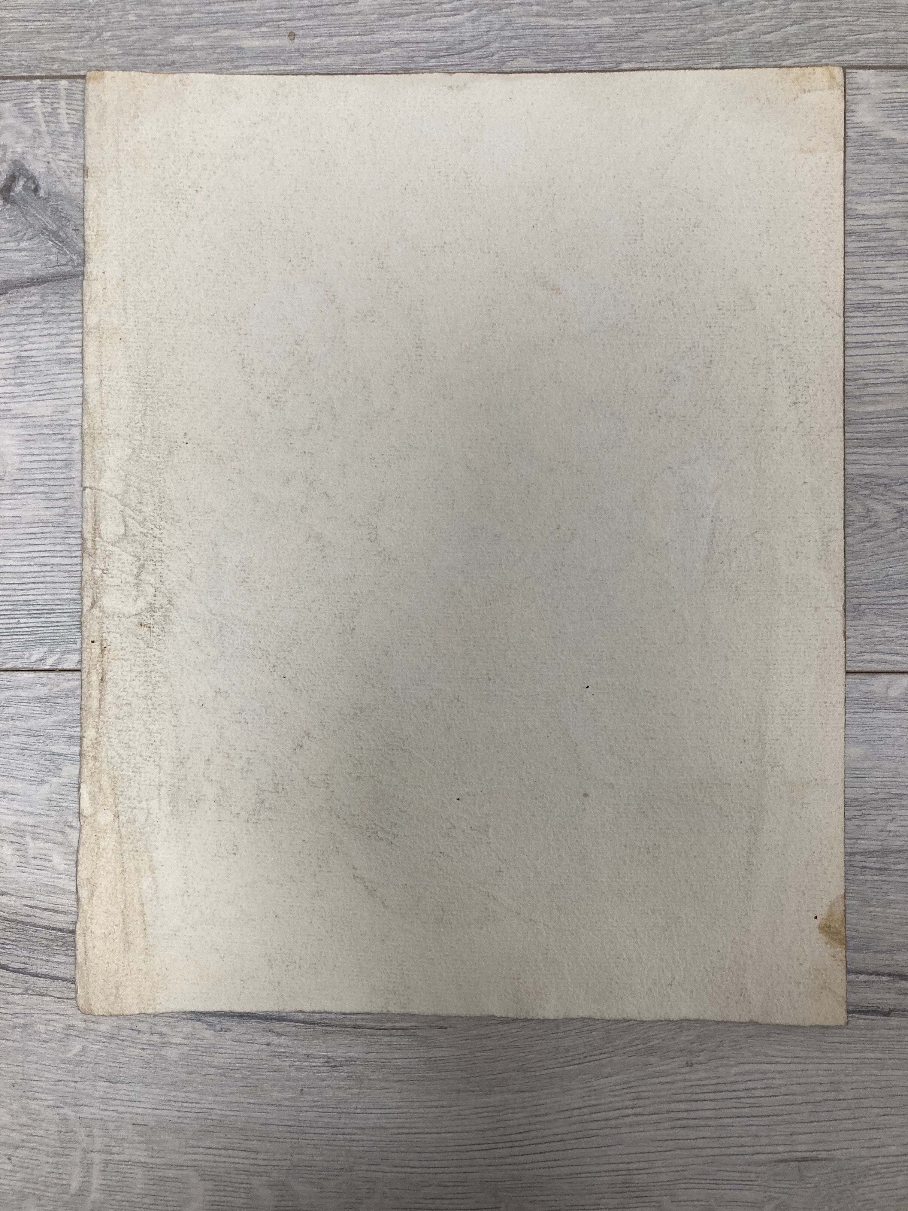 Aquarelle pivoines vintage