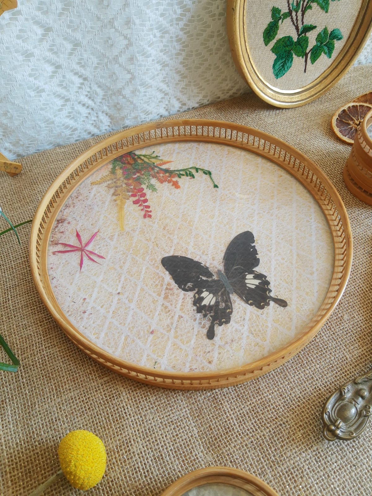 Set tray and 6 under glass bamboo vintage butterflies