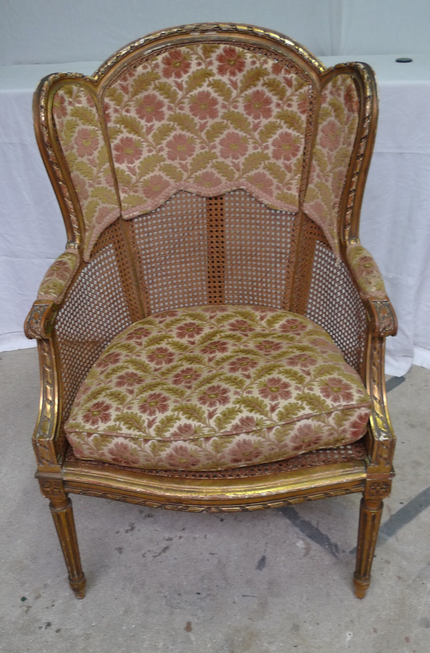 Bergere in ear canning