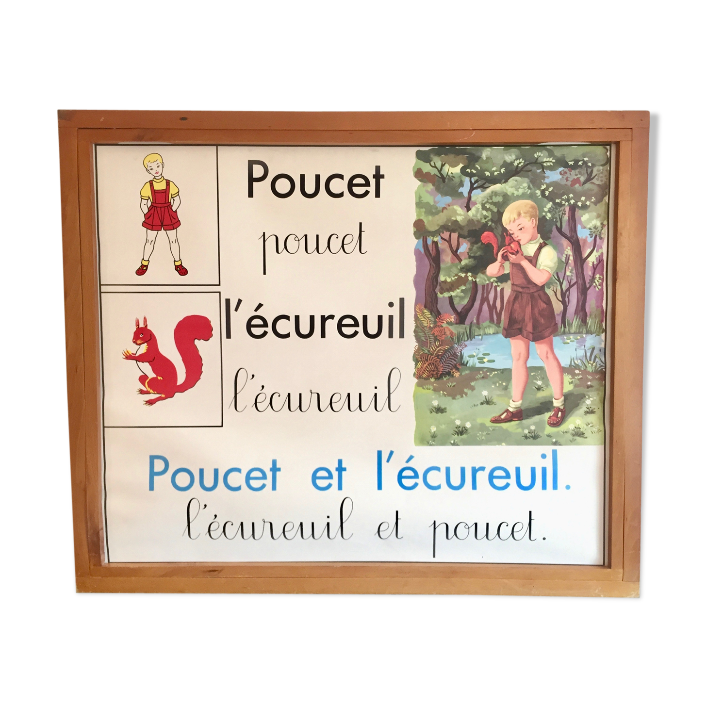 Educational poster rossignol 60s thumb and squirrel
