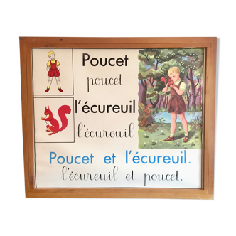 Educational poster rossignol 60s thumb and squirrel
