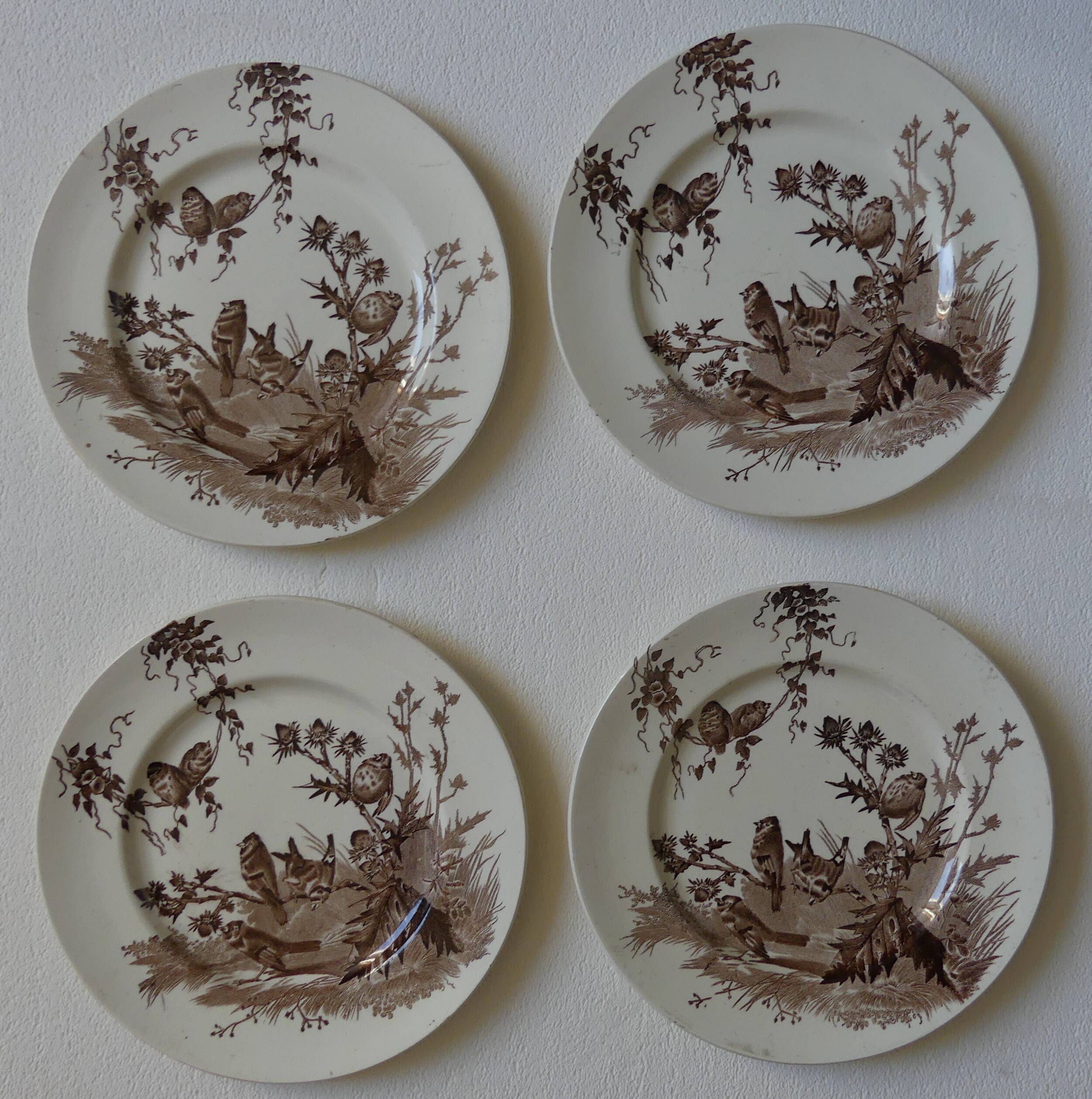 4 plates creil & montereau chardonnerets model with sepia birds decor