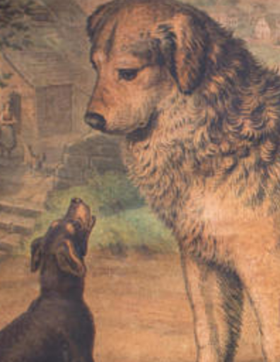 Affiche "les chiens" lithographie Karl Jansky Böhmen 1897