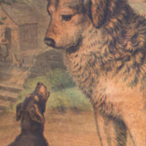 Affiche "les chiens" lithographie Karl Jansky Böhmen 1897