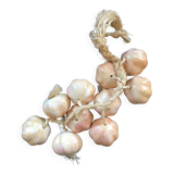 Bunch of garlic in slip