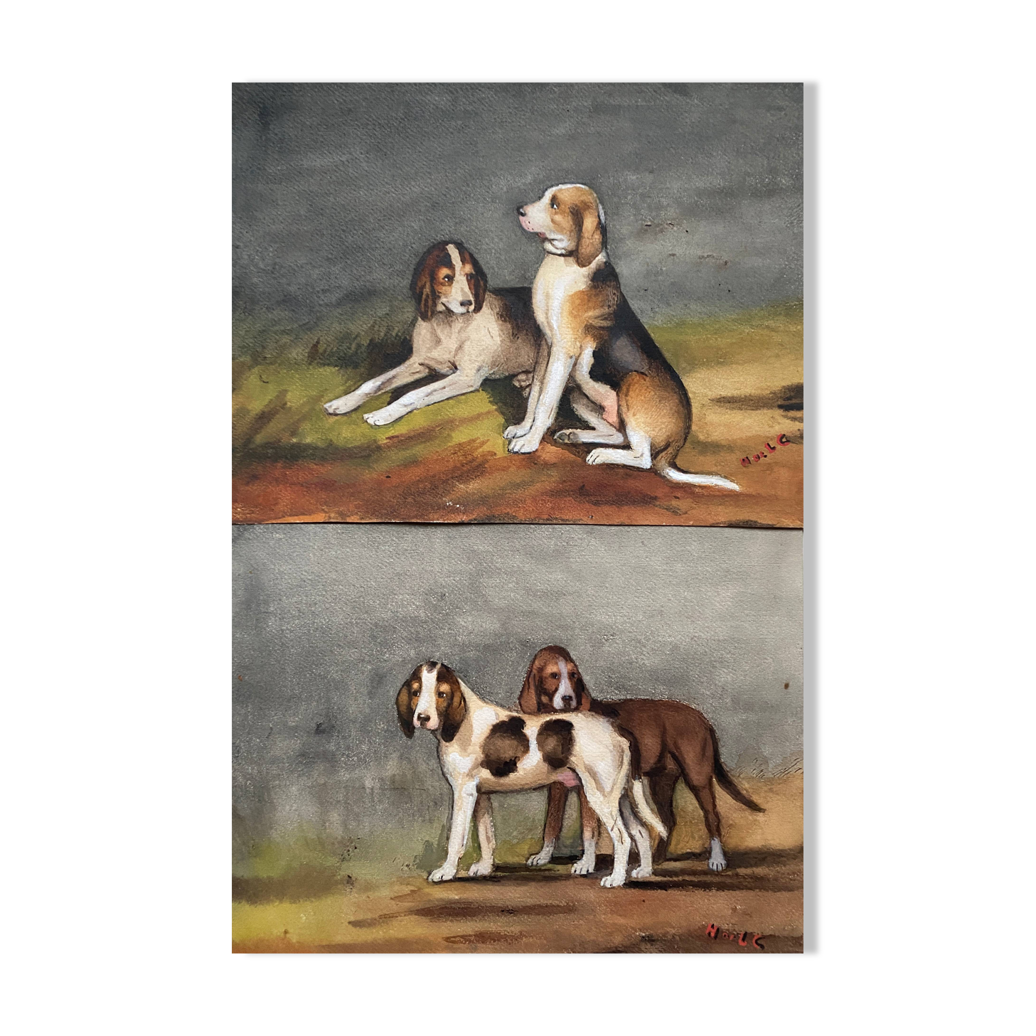 During 19th century watercolor paintings Anglo-artesian dogs and recri signed H. de LC