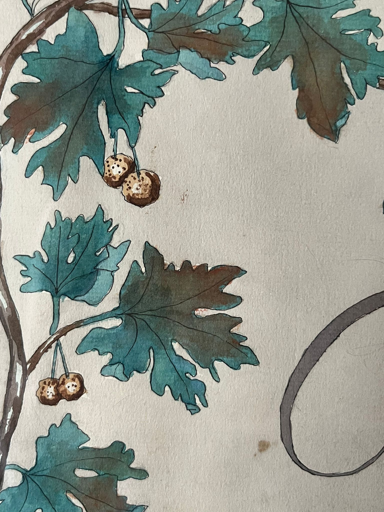 Watercolor decorated with leaves made by Renée Billette in 1912