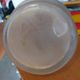 Frosted glass Art Deco vase – Raised relief deer decoration