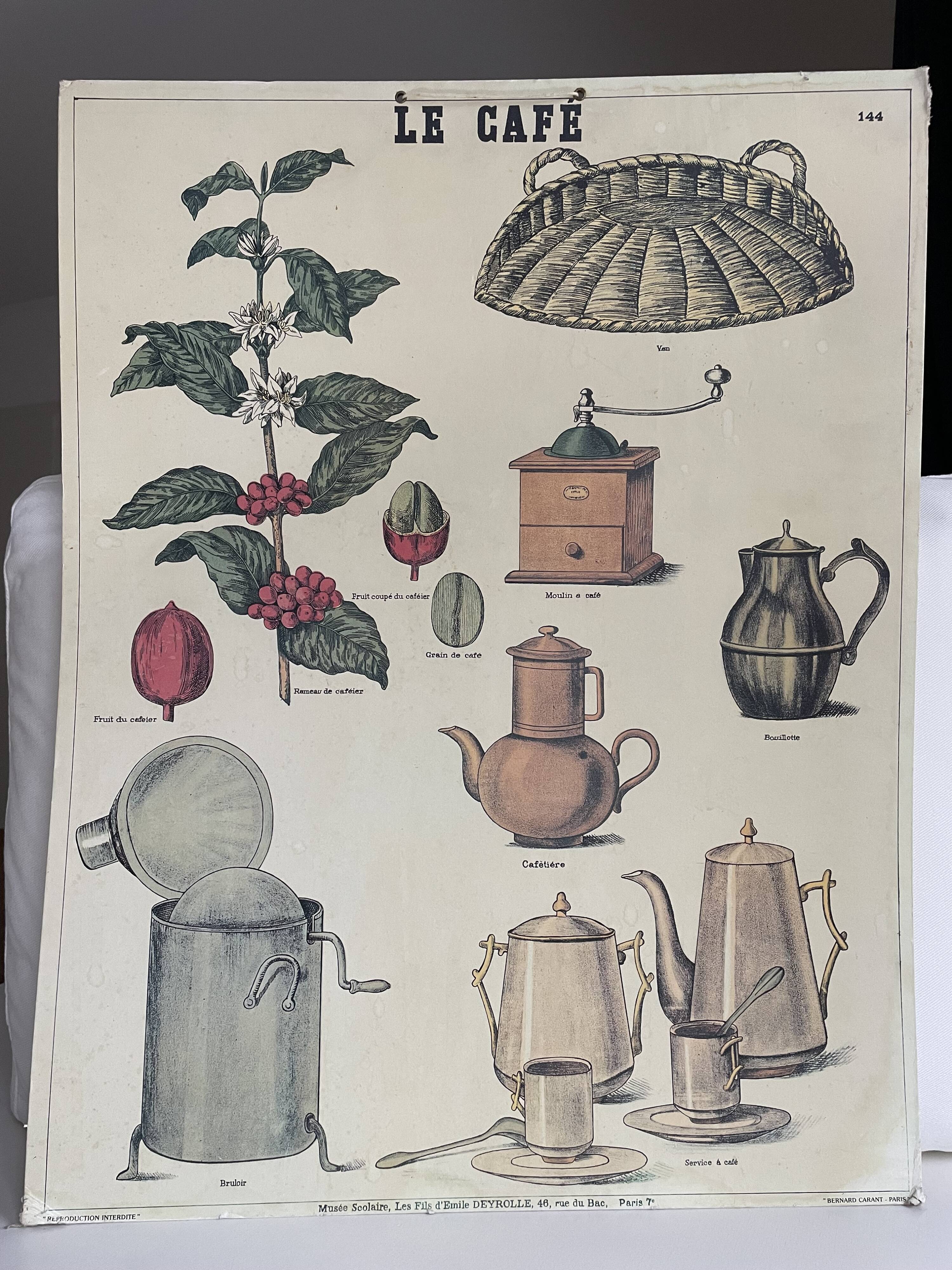 Le Café - Affiche pédagogique Deyrolle imprimée par Bernard Carant, Paris