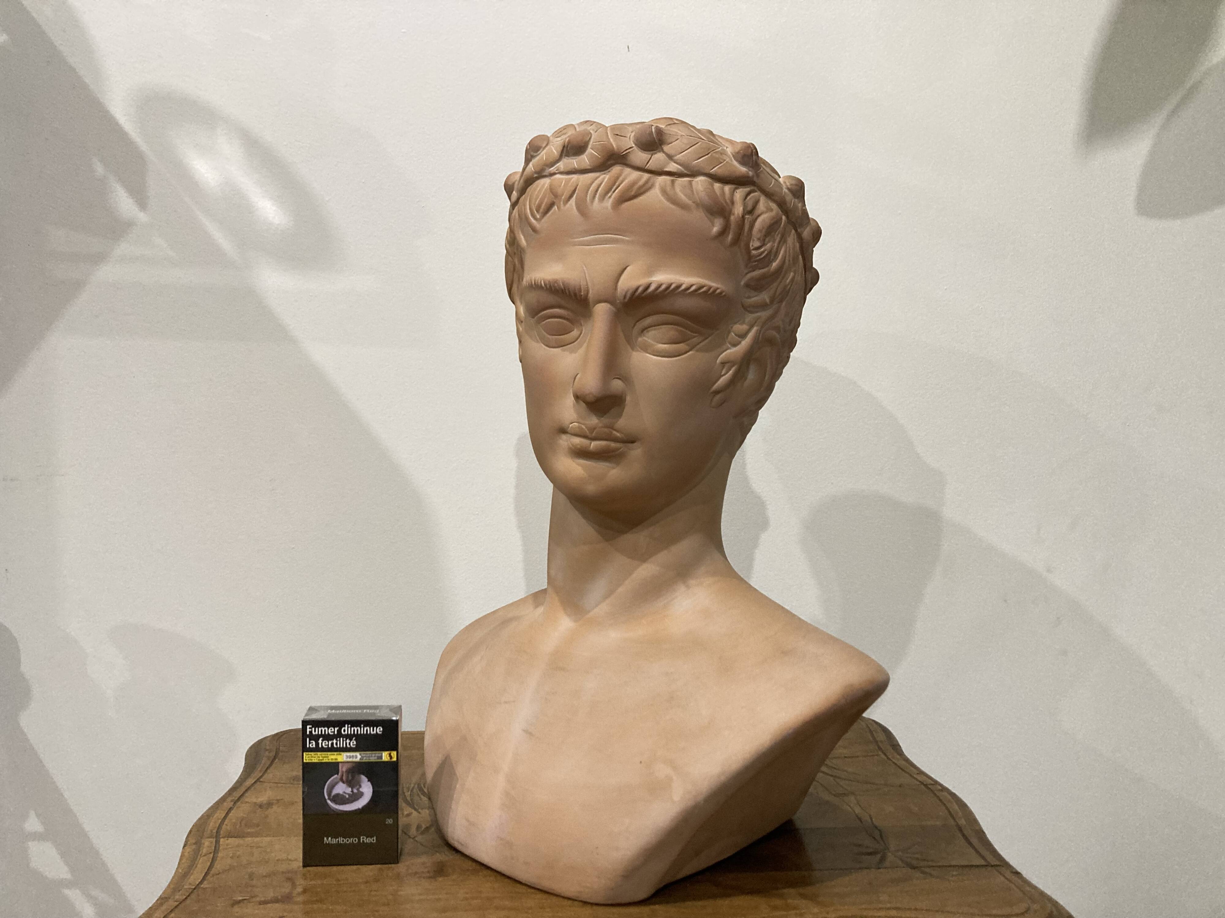 Bust man in terracotta (Chaumette Paris)