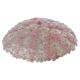 Wonderful Extra Large Size Pink Murano Glass Ceiling Light Flower by Seguso