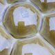 Gien oyster plates