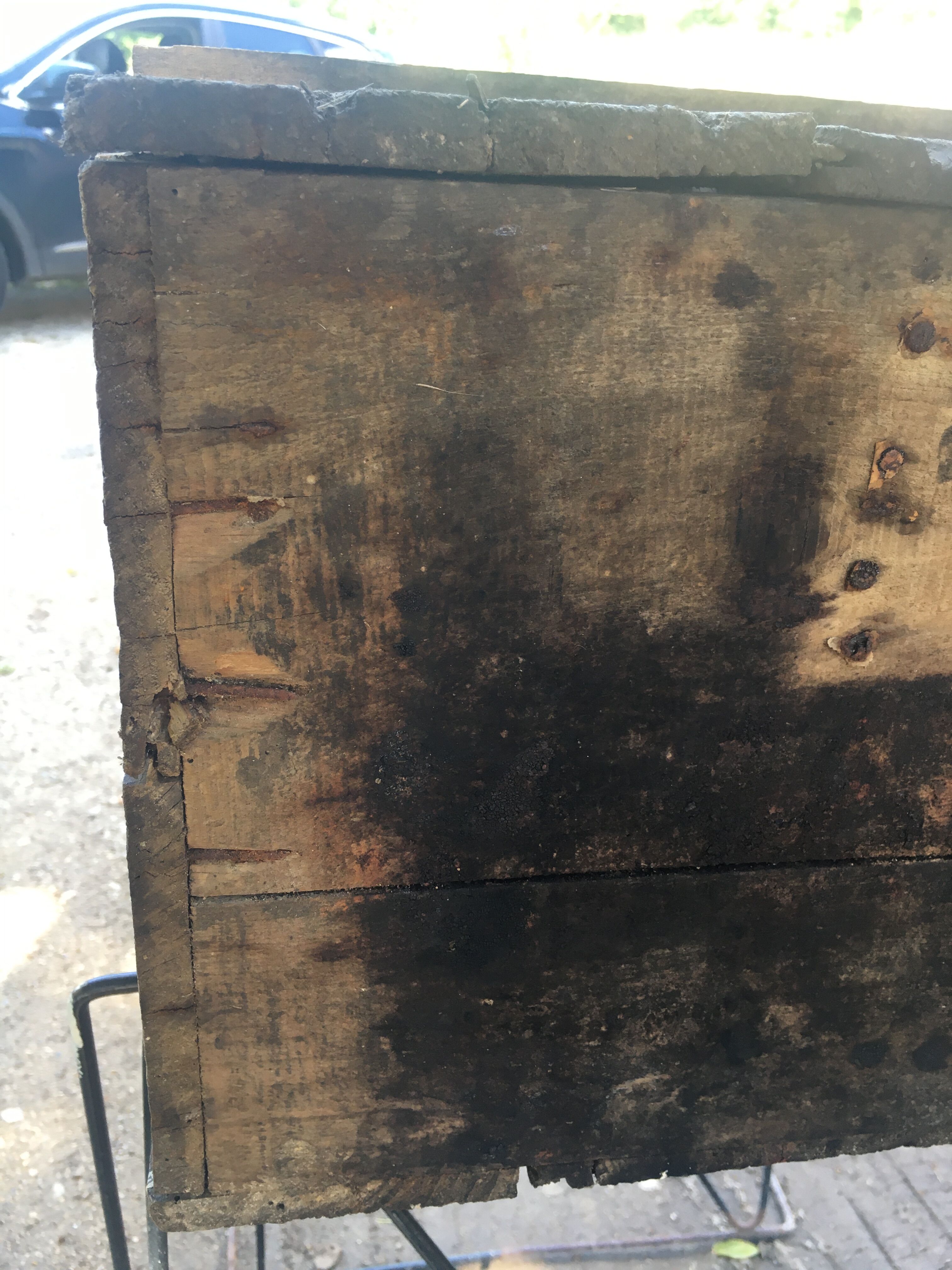 Wooden box Chocolate Foal