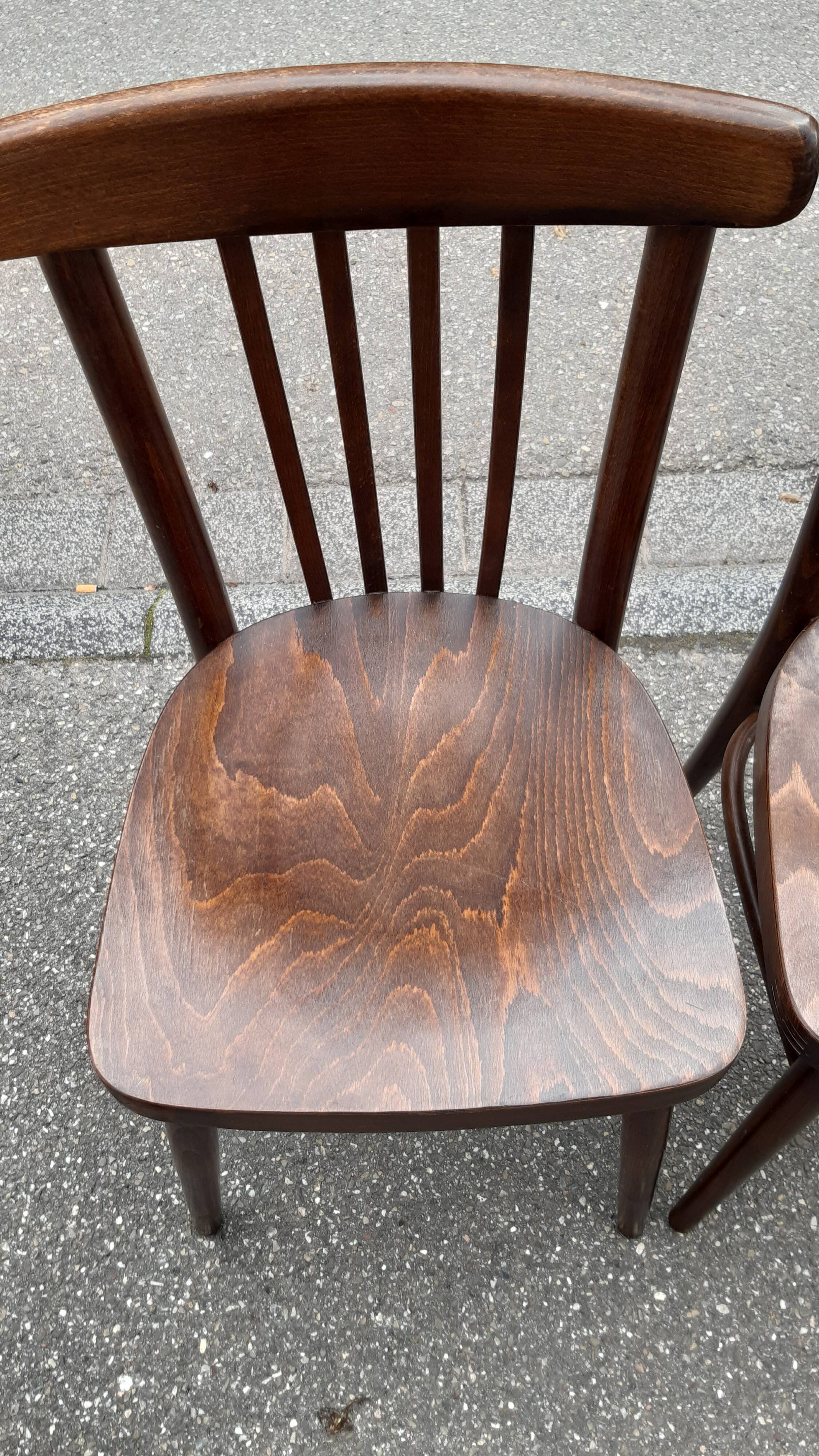 Curved wood bistro chairs edition Ton 1960